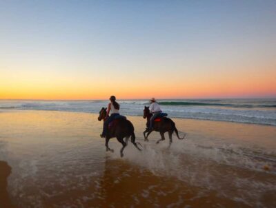 Horse Riding, Zip-Line Tour & Waterfall Tour