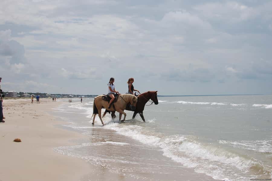 Ubud: Horse Riding, Zip-Line Tour & Waterfall Tour - Who this tour suits, and who should skip it