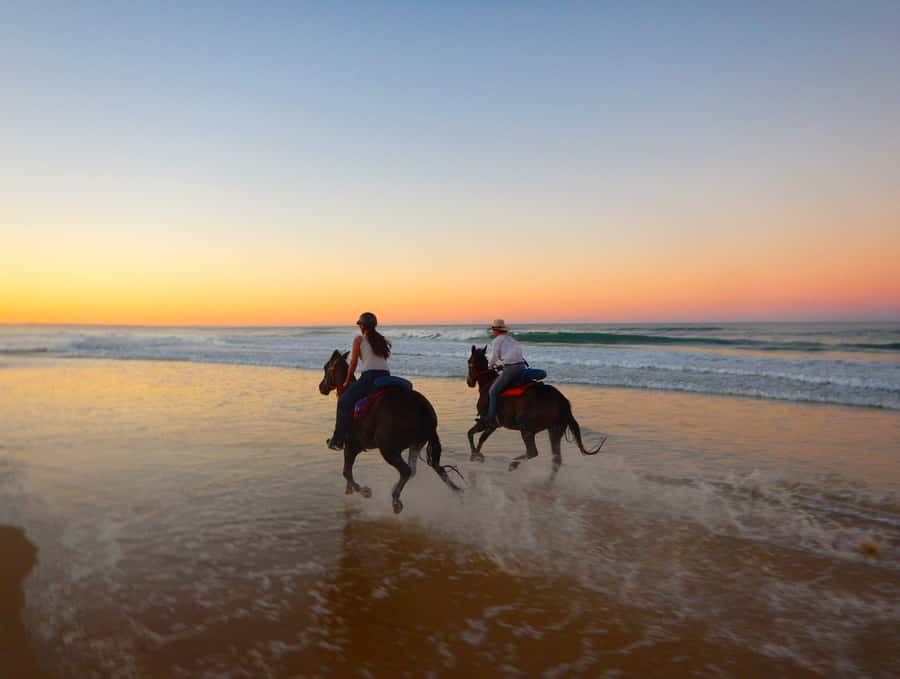 Ubud: Horse Riding, Zip-Line Tour & Waterfall Tour - Saba Bay horseback riding: black sand, ocean air, and tide reality
