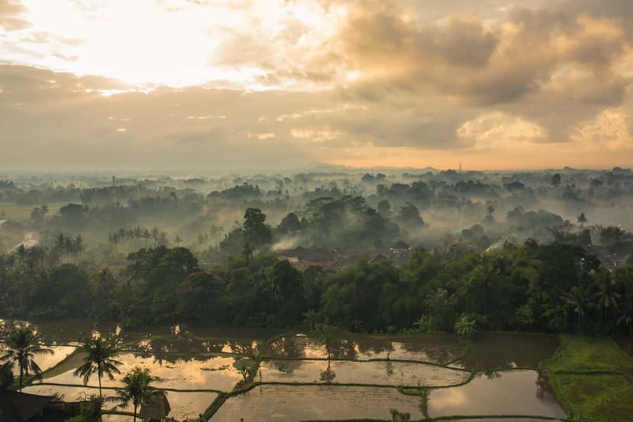 Ubud: Hot Air Balloon Experience - Afternoon tea and evening dinner: how the included meal changes your budget