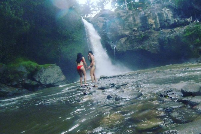 Ubud Hot Springs and Waterfall Private Guided Tour - Price and Value, Plus the Entrance Fee Confusion