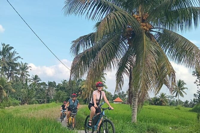 Ubud : Kintamani Downhill Cycling Tour with Lunch - Why This Ubud to Kintamani Ride Feels Like More Than a Bike Tour