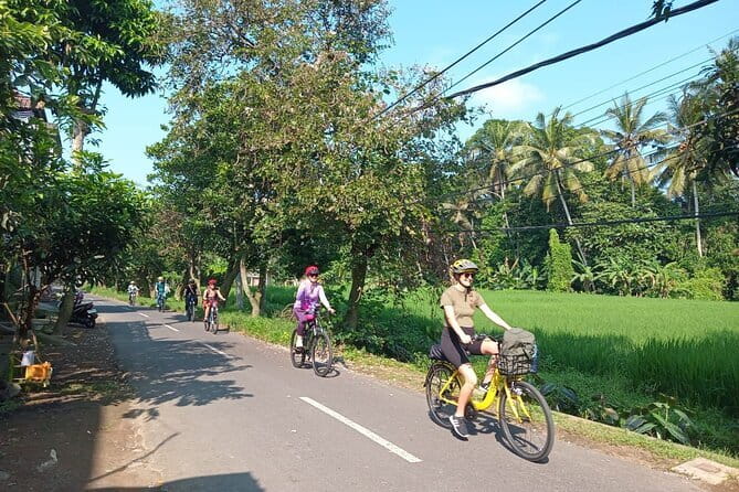 Ubud : Kintamani Downhill Cycling Tour with Lunch - Pura Desa Malet Gusti: School, Temple, and a Glimpse of Daily Life