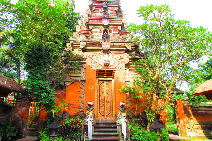 Ubud: Monkey Forest and Rice Terrace Private Tour - Price and value at about $44 per person