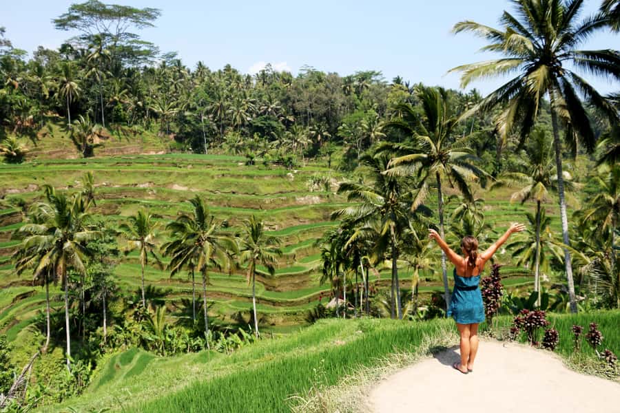 Ubud: Monkey Forest and Rice Terrace Private Tour - Why Ubud is ideal for a one-day overview