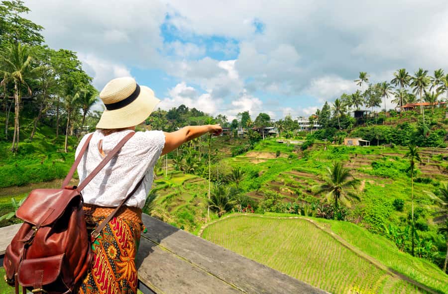 Ubud: Monkey Forest and Rice Terrace Private Tour - Luwak coffee plantation visit, from forest floor to cup
