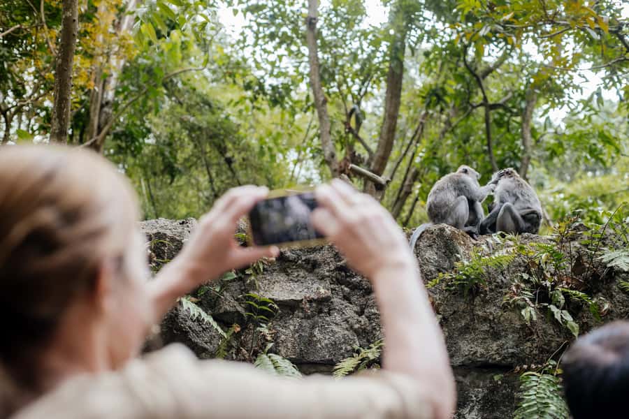 Ubud: Monkey Forest, Ceking Rice Terraces and More– Full Day - Tegenungan Waterfall: A Scenic Start With a Cooling Reset