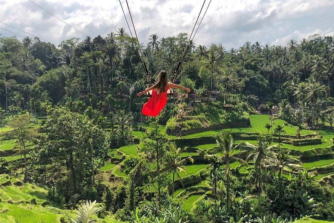 Ubud: Monkey Forest, Jungle Swing, Rice Terrace, and Water Temple - Why this Ubud mix works in one long day