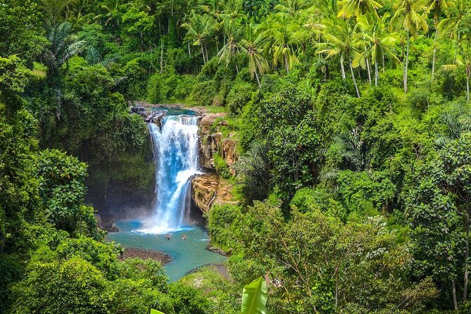 Ubud: Monkey Forest, Jungle Swing, Rice Terrace, and Water Temple - Tirta Empul Temple: sacred spring water and sarong etiquette