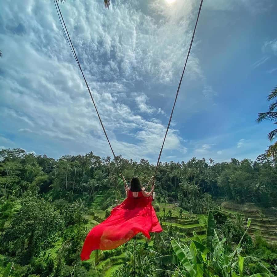 Ubud Monkey Forest, Temple, Rice Terrace and Waterfall Tour - Key highlights you will feel fast