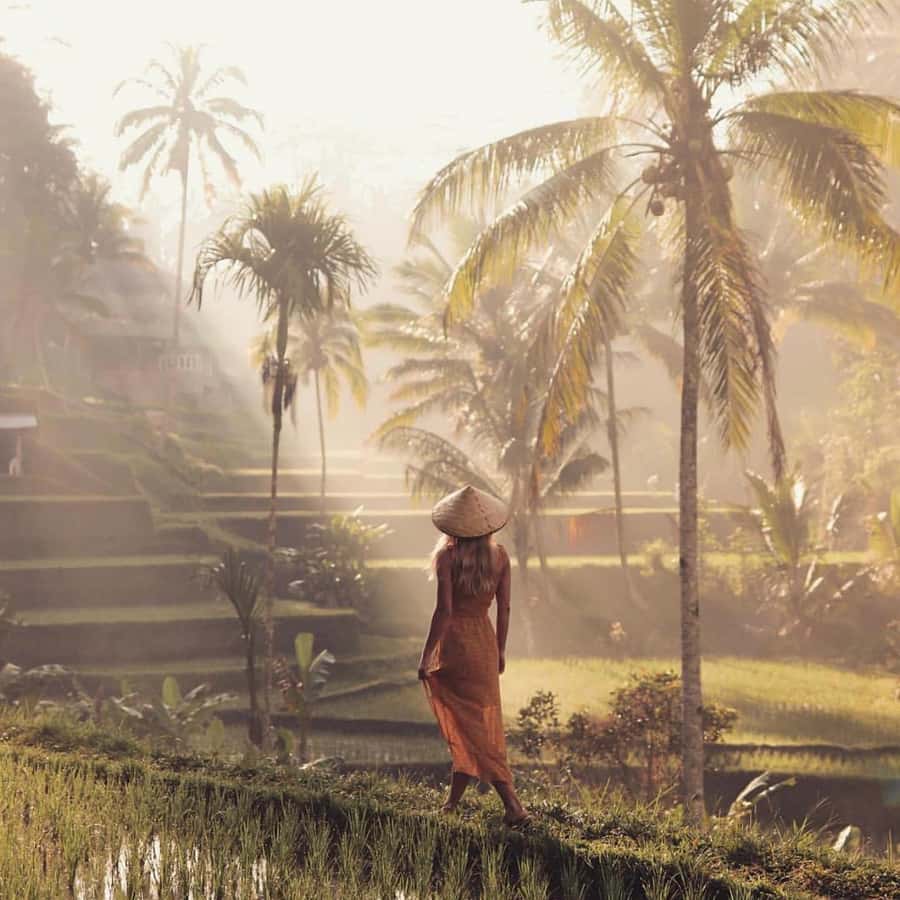 Ubud Monkey Forest, Temple, Rice Terrace and Waterfall Tour - Tegalalang rice terraces: walking views plus optional swings and ziplines