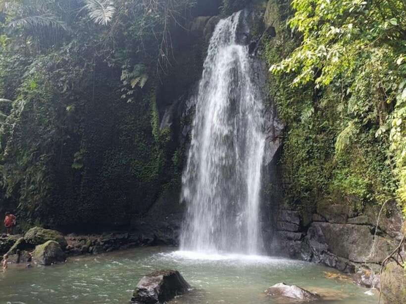 Ubud: Monkey Forest, Temple, Rice Terraces, Hidden Waterfall - Who this tour suits best