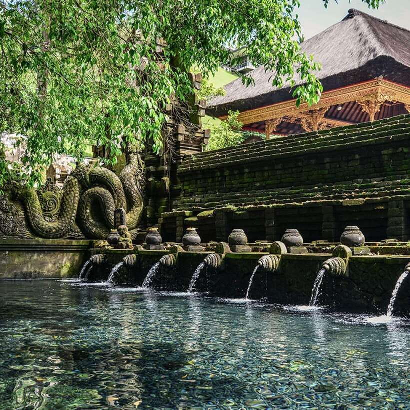 Ubud: Monkey Forest, Temple, Rice Terraces, Hidden Waterfall - Should you book this Ubud Monkey Forest, Temple, Rice Terraces, Waterfall tour?