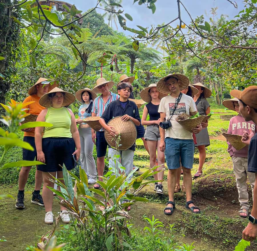 Ubud: Organic Farm Harvest, Bali Cooking Class by Pemulan - Organic Farm Harvest, Getting Your Hands on Real Ingredients