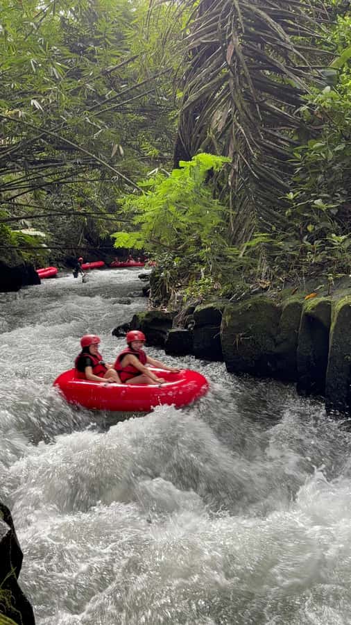 Ubud: Pakerisan Jungle River Tubing Adventure with Lunch - Lunch, Showers, and the Comfort Stuff You Will Be Glad You Paid For