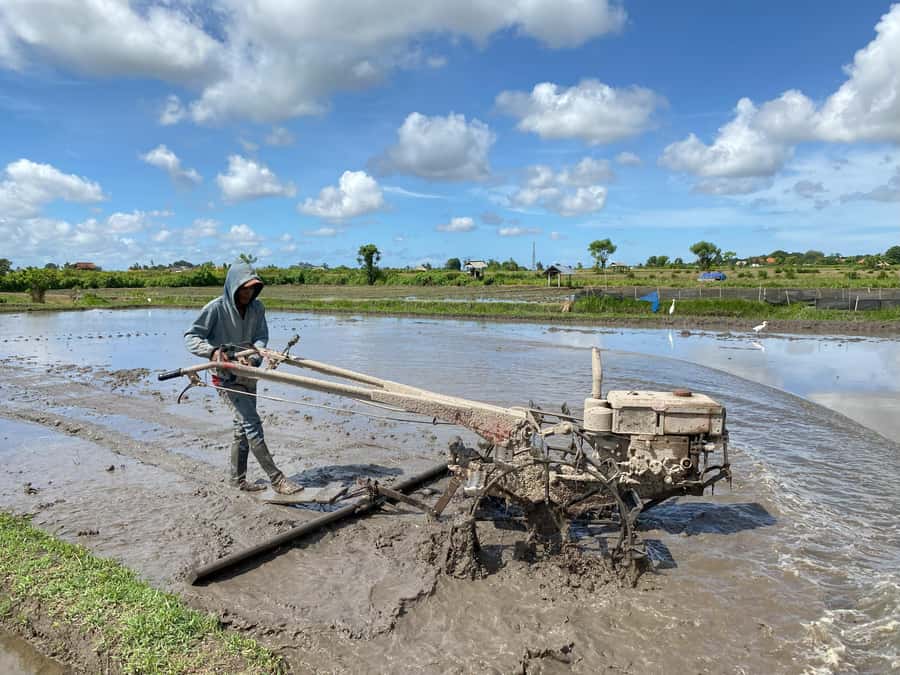 Ubud : PRIVATE Bike Tour inside Rice Field with meal & pool - Key highlights you’ll feel right away