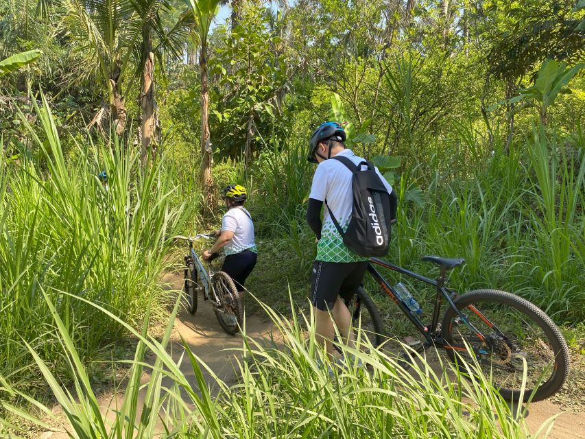 Ubud : PRIVATE Bike Tour inside Rice Field with meal & pool - A viewpoint stop, then into traditional village rhythm