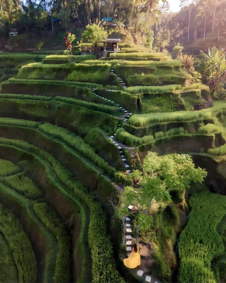 Ubud: Private Scenic Waterfalls and Rice Terraces Tour - Tukad Cepung Waterfall: The Cave Setting and Its Photo Advantage