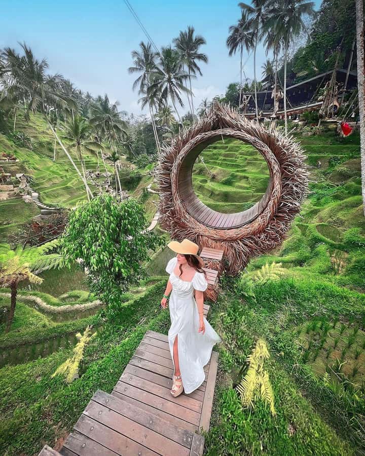 Ubud: Private Scenic Waterfalls and Rice Terraces Tour - Lunch Break at a Local Warung: Eat, Reset, Keep Your Energy