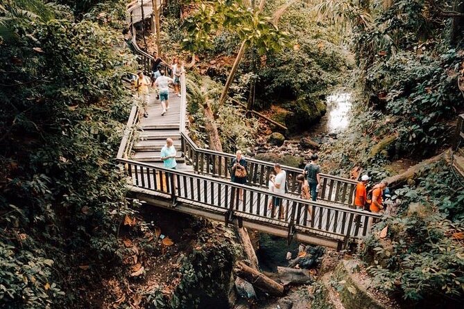 Ubud Private Tour: Monkey Forest, Rice Terrace, Temple, Waterfall - Tegalalang rice terraces: why the valley views hit