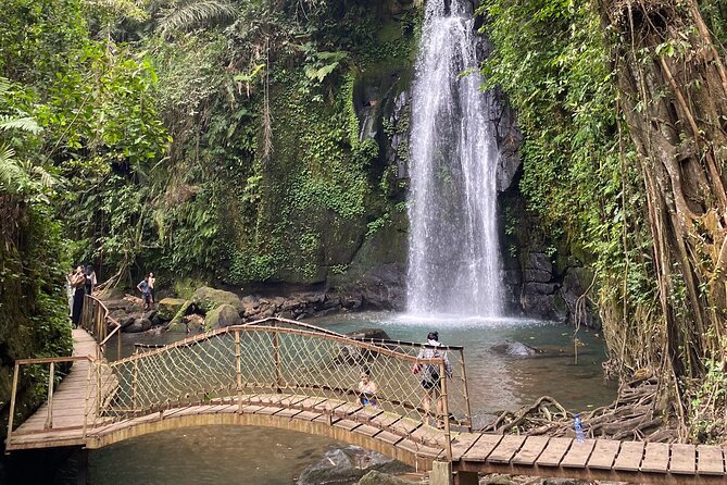 Ubud Private Tour: Monkey Forest, Rice Terrace, Temple, Waterfall - Lunch at Tebasari Resto, Bar & Lounge: jungle views with flexible menus