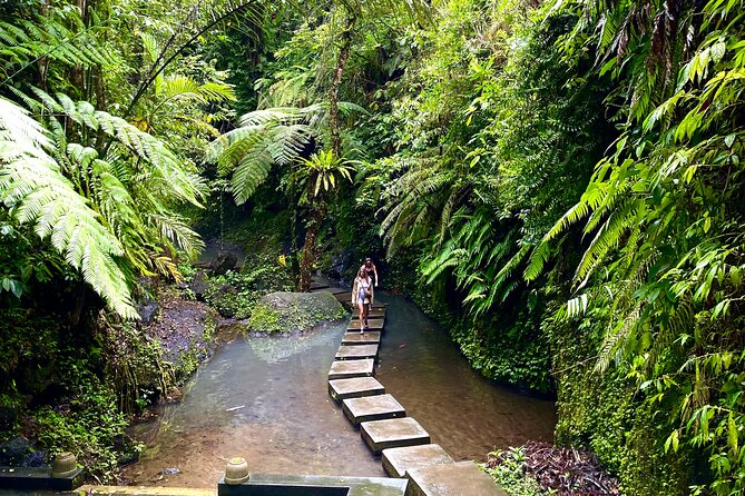 Ubud Private Tour: Monkey Forest, Rice Terrace, Temple, Waterfall - Ulu Petanu Waterfall: photo time and a chance to swim