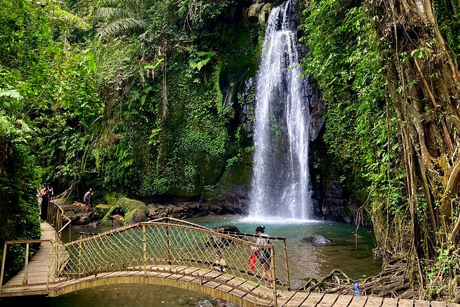 Ubud Private Tour: Monkey Forest, Rice Terrace, Temple, Waterfall - Tirta Empul Temple: holy spring water and wish rituals