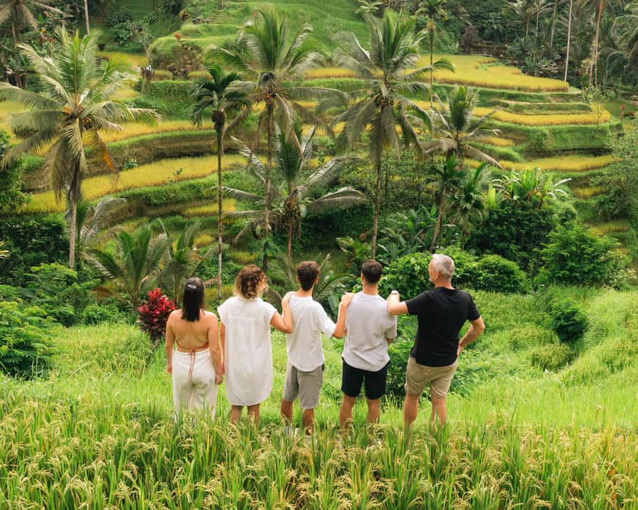 Ubud: Private Tour with Professional Photographer - How the private pickup and pro guidance change your Ubud day