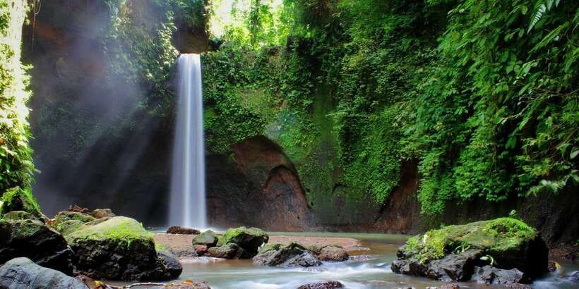 Ubud: Rice Terrace, Holy Water Temple & Waterfalls Trek Tour - Lunch, Coffee Tasting, and Optional Add-Ons That Change the Day