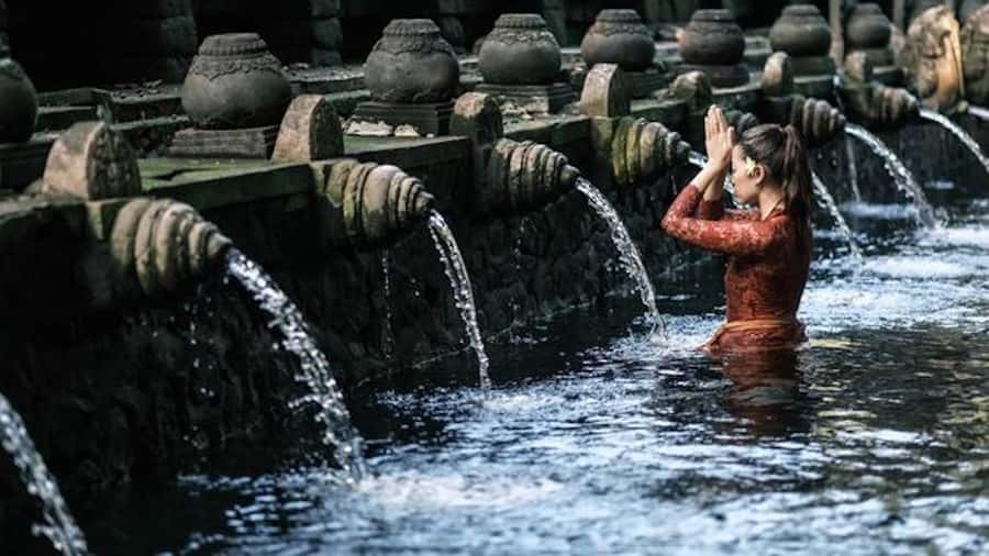Ubud: Rice Terrace, Waterfall, & Elephant Cave - Price and Value at $43: What Is Included (and What Costs Extra)