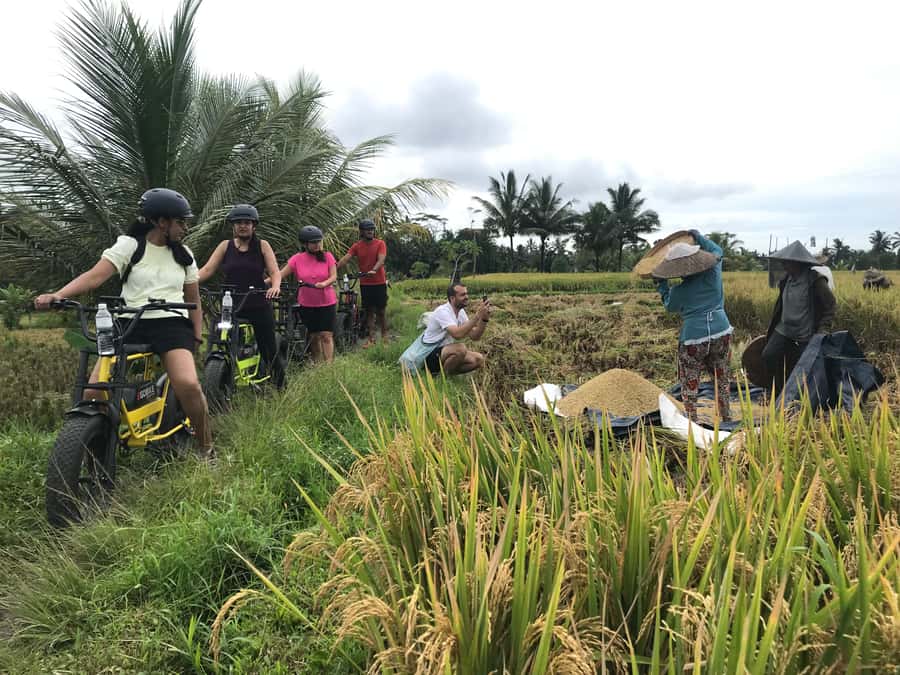 Ubud: Rice Terraces & Villages Half-Day Fat Tire E-Bike Tour - Key things you’ll like about this Ubud e-bike tour