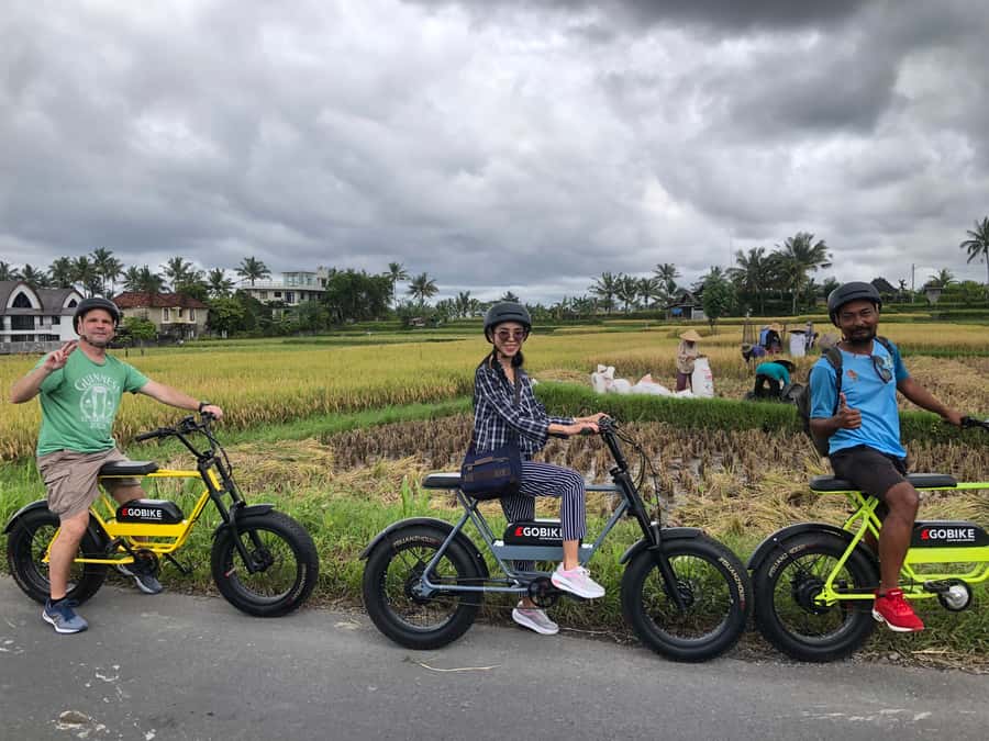 Ubud: Rice Terraces & Villages Half-Day Fat Tire E-Bike Tour - Price and value: why $33 makes sense for this itinerary