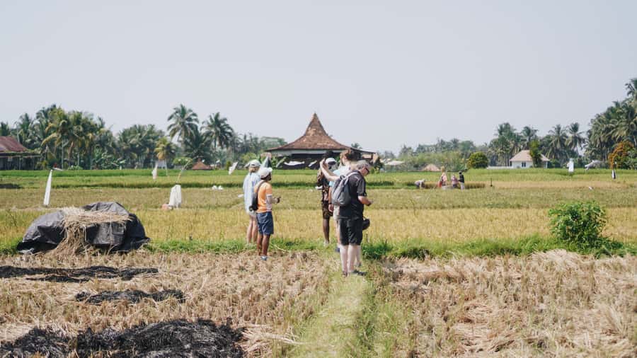 Ubud: Rice Terraces & Villages Half-Day Fat Tire E-Bike Tour - Getting your fat-tire e-bike rolling in Ubud