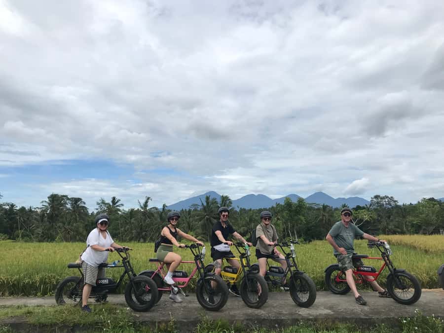 Ubud: Rice Terraces & Villages Half-Day Fat Tire E-Bike Tour - Cekingan rice terraces and the subak irrigation system