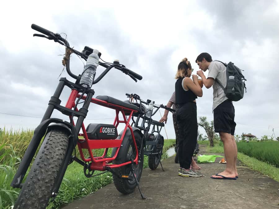 Ubud: Rice Terraces & Villages Half-Day Fat Tire E-Bike Tour - Village temples and Tegalalang: village life, not just scenery