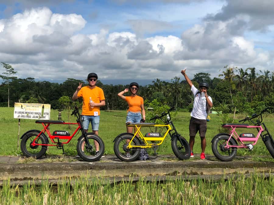 Ubud: Rice Terraces & Villages Half-Day Fat Tire E-Bike Tour - The ride through countryside backroads you can actually reach
