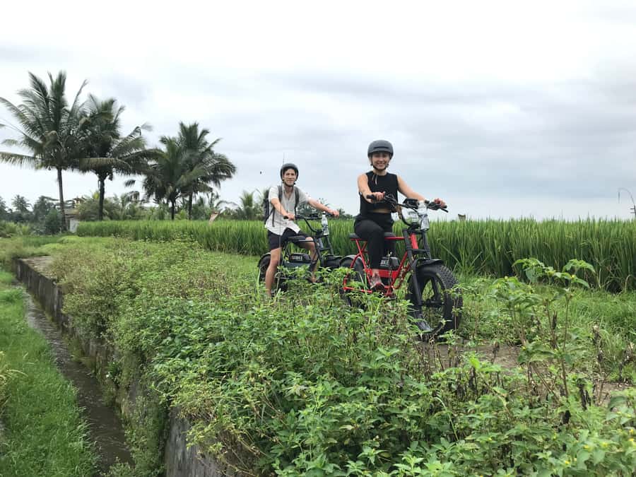 Ubud: Rice Terraces & Villages Half-Day Fat Tire E-Bike Tour - Lunch in Ubud: the taste of a proper Balinese meal