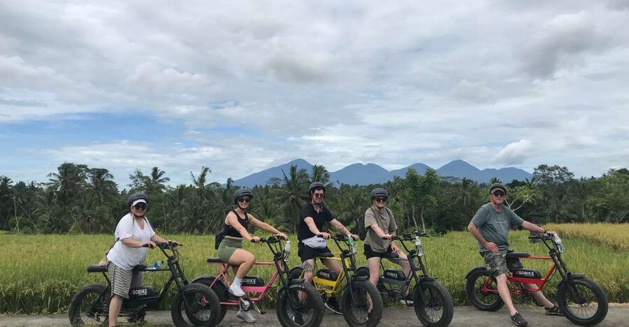 Ubud: Rice Terraces & Villages Half-Day Fat Tire E-Bike Tour - Small group size, English guidance, and guides who make it flow