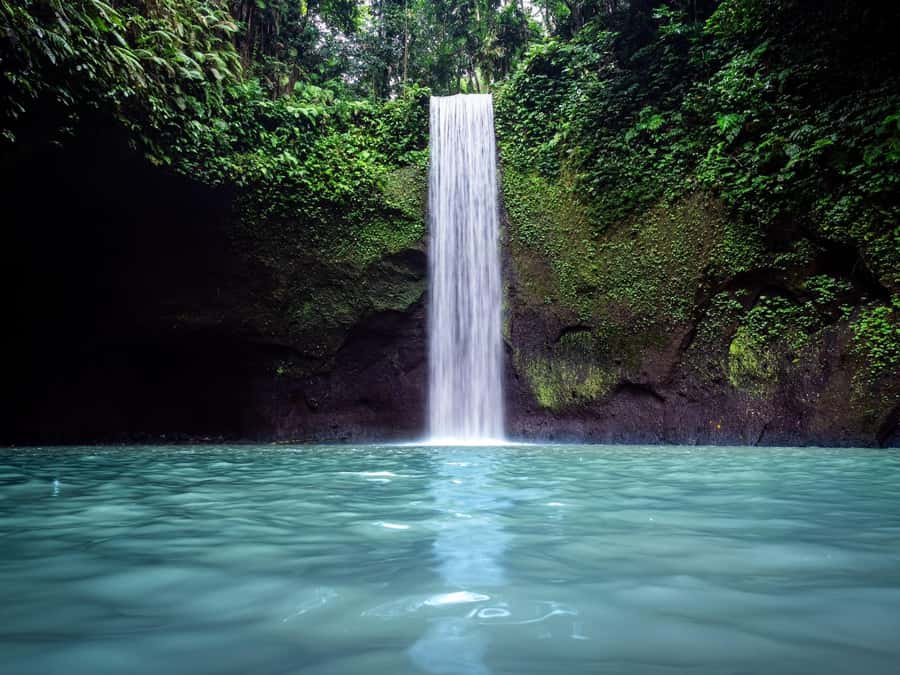 Ubud: Rice Terraces, Water Temple, & Waterfalls Private Tour - Key highlights at a glance