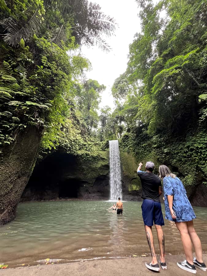 Ubud: Rice Terraces, Water Temple, & Waterfalls Private Tour - What This Tour Costs, and Why It Can Be Good Value