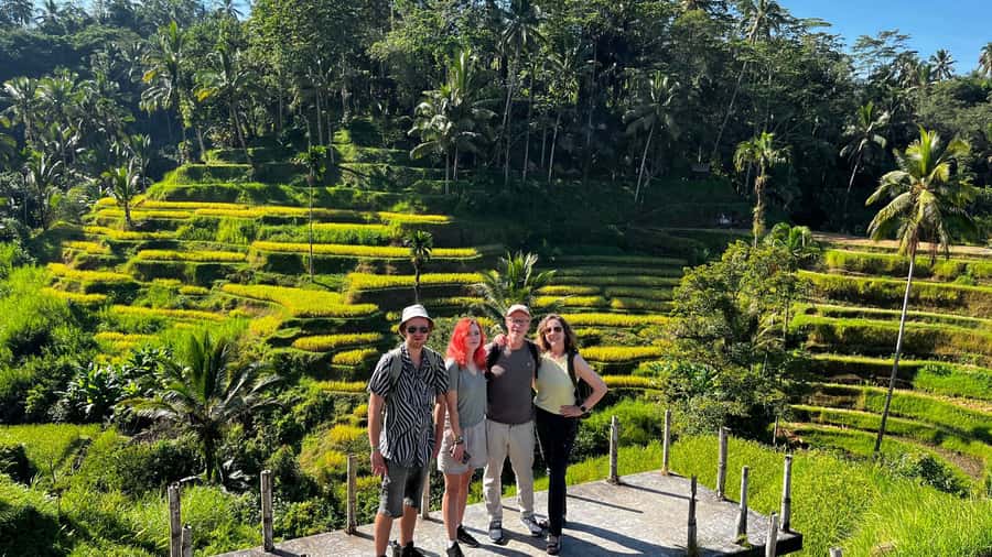 Ubud: Rice Terraces, Water Temple, & Waterfalls Private Tour - Coffee, Tea, Dessert, and Lunch in Ubud