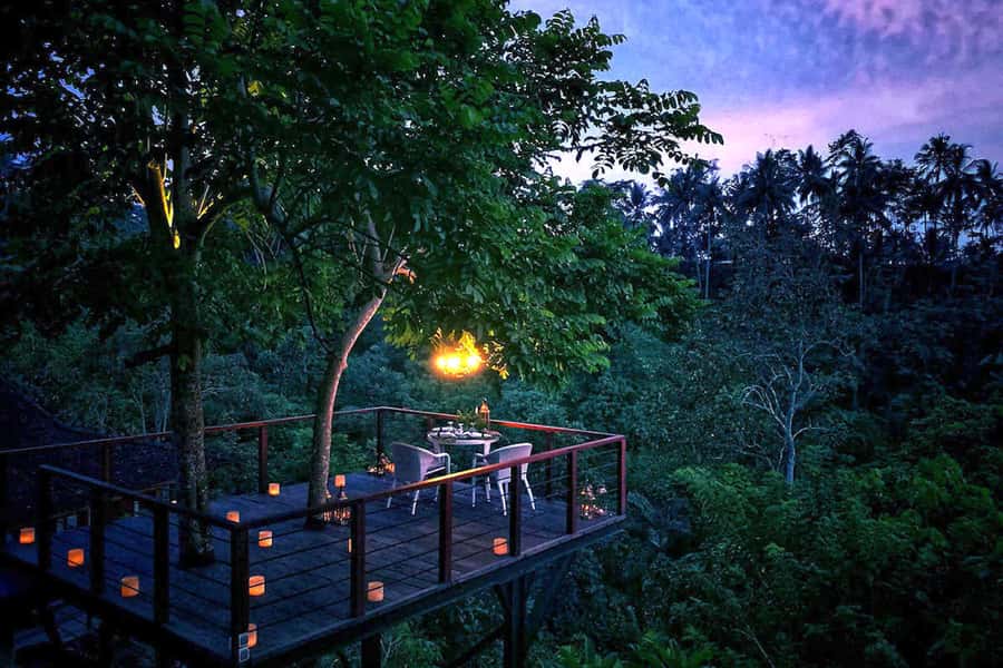 Ubud: Romantic Dinner on a Forest Tree Deck - Key points to know before you go