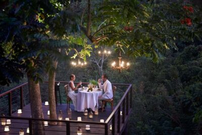 Romantic Dinner on a Forest Tree Deck