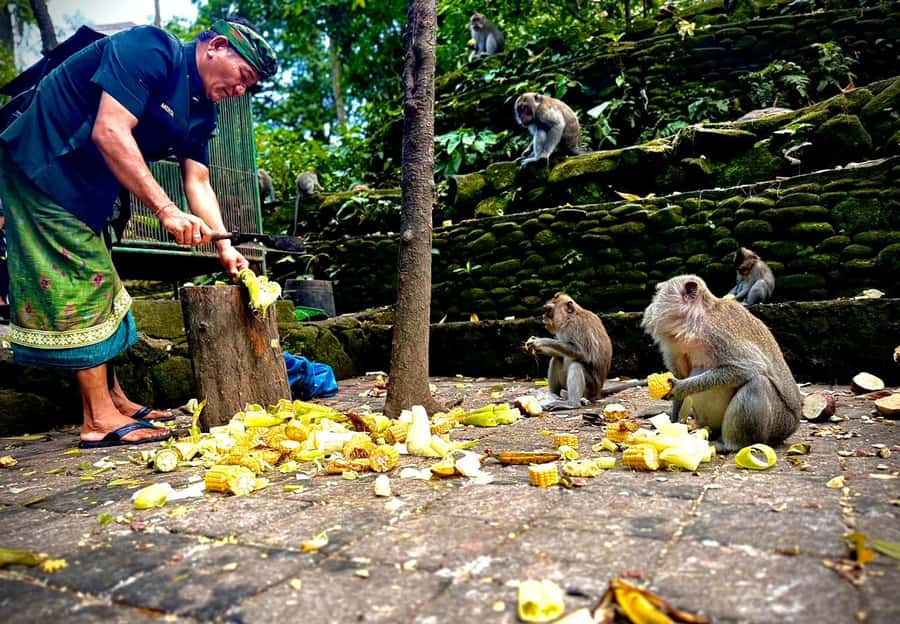 Ubud: Sacred Monkey Forest Sanctuary Ticket and Guided Tour - Long-tailed macaques: mothers, babies, and dragon-bridge views
