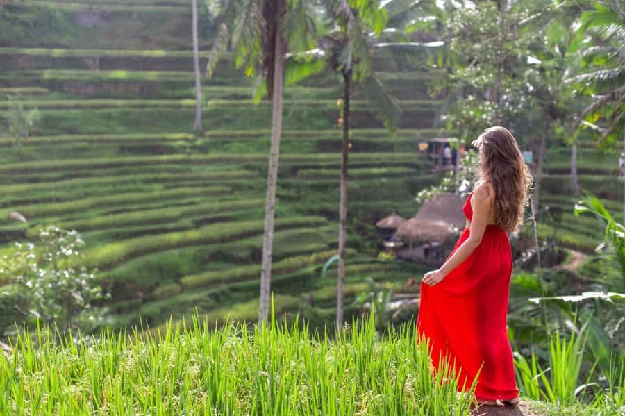 Ubud: Semi-Customized Private Tour with Live Guide - What this semi-custom Ubud tour really gives you