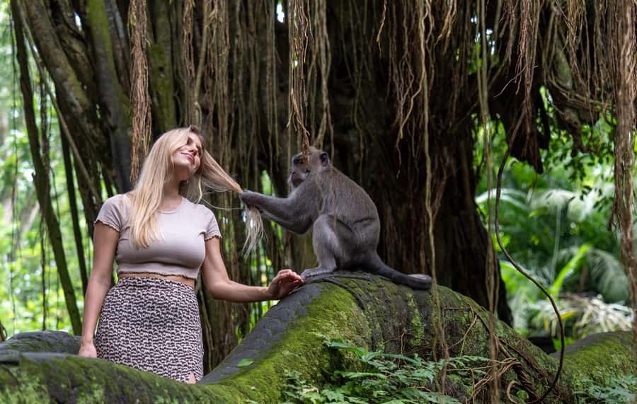 Ubud: Semi-Customized Private Tour with Live Guide - Artisan villages and Ubud Market: shopping with a purpose