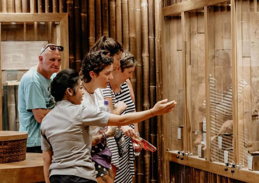 Ubud: Soul Retreat & Holistic Mantra Healing Experiences - Key highlights at a glance
