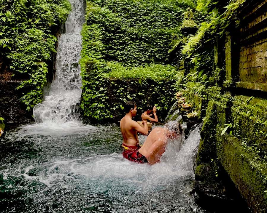 Ubud: Soul Retreat & Holistic Mantra Healing Experiences - Soul purification at the holy spring: what to expect when you get wet