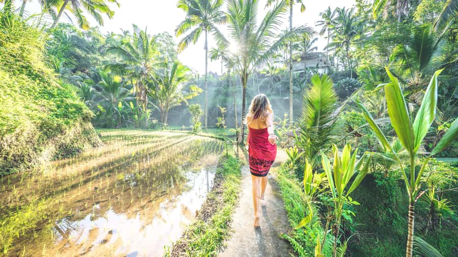 Ubud: Spectacular Waterfalls Tour - Stop 3: Kanto Lampo Waterfall photo-stop with those natural rock steps