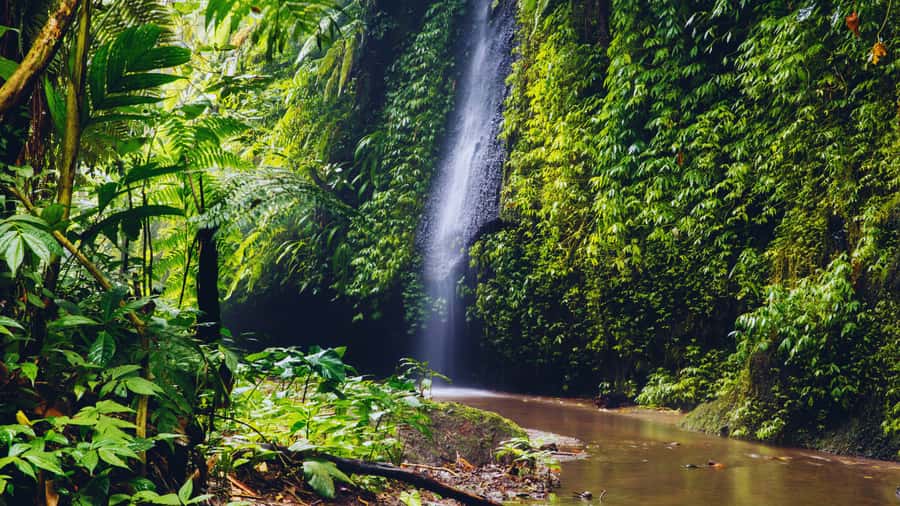 Ubud: Spectacular Waterfalls Tour - Stop 4: Gunung Kawi Sebatu Temple, calm ruins, and a slower pace